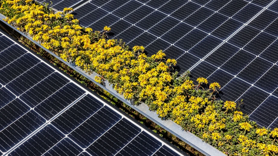 Grüne Bundesanleihen aufgestockt