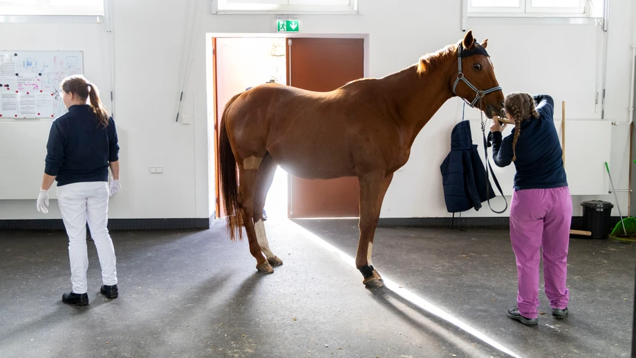 Piloten verdienen am besten