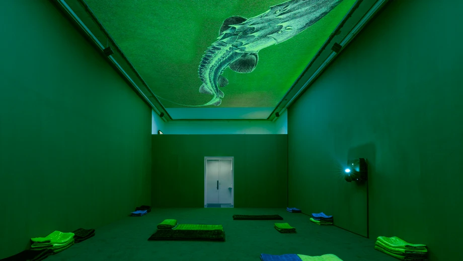 Wo die Möwe die Nilgans ruft