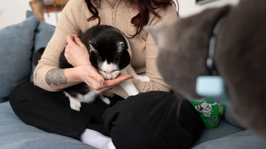 Irgendwann fingen wir an, die Tiere „unsere Kinder“ zu nennen