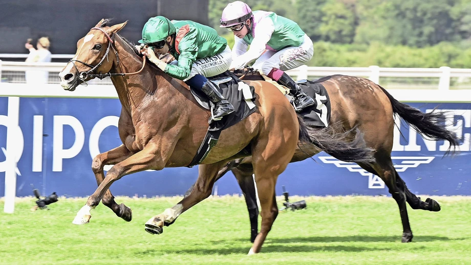 Droht dem Turf der „Todesstoß“?