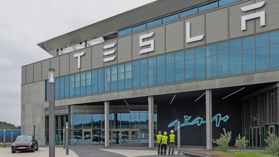 Wo AfD gewählt wird, werden mehr Teslas gekauft