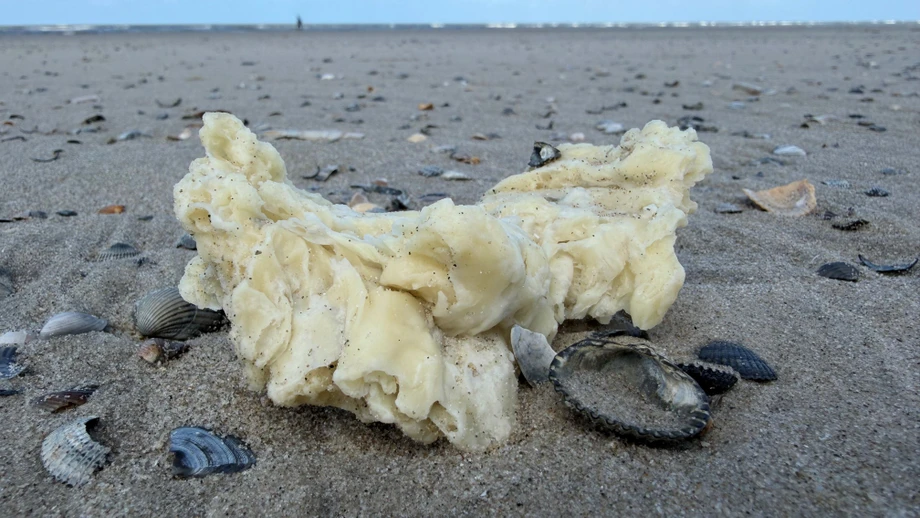 Weiße Substanz an Nordseestränden angespült