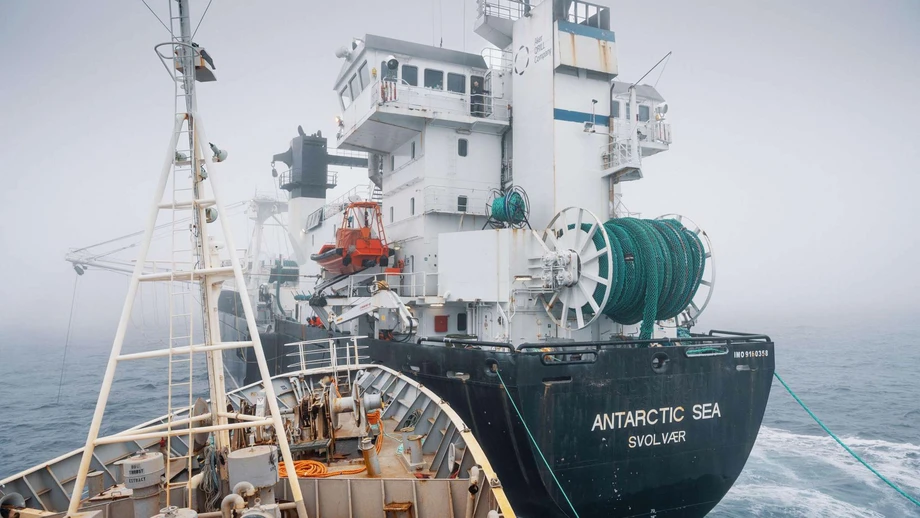 Tierschützer rammen Krillfangschiff in der Antarktis