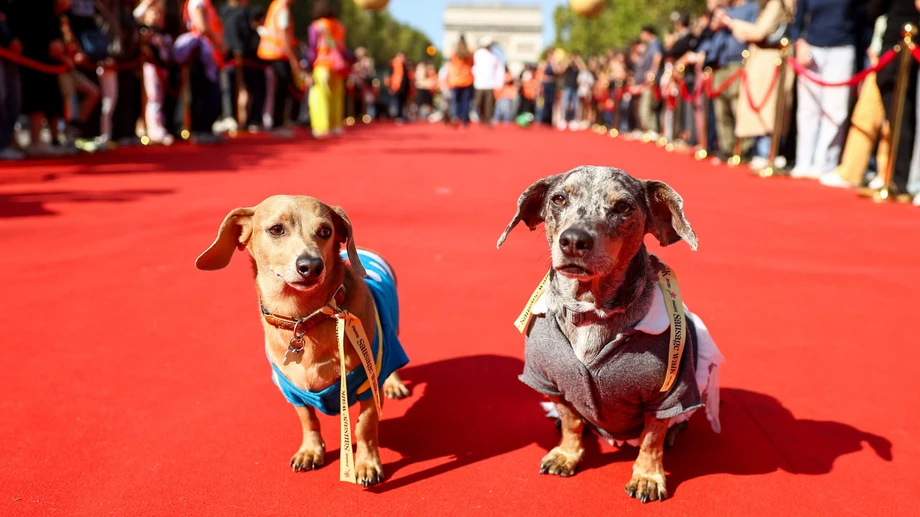 „Sausage Walk“ auf Champs-Élysées
