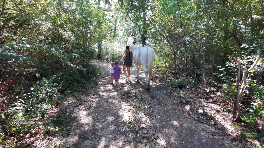 Italien streitet über das Schicksal der „Waldfamilie“
