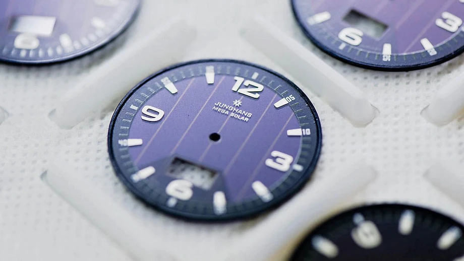 Ein Blatt an der Sonne