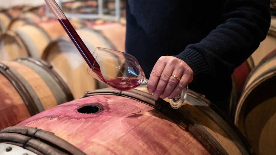 Wein ist nicht nur schädlich