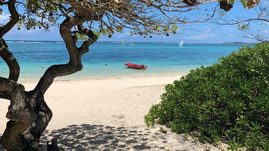 Trauminsel mit Nachgeschmack