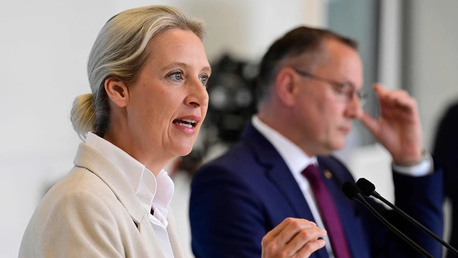 Die AfD ärgert sich über Bardella