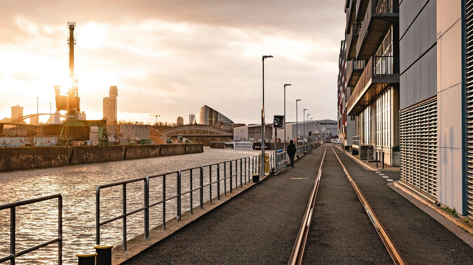 Keine Schönheit, aber quicklebendig