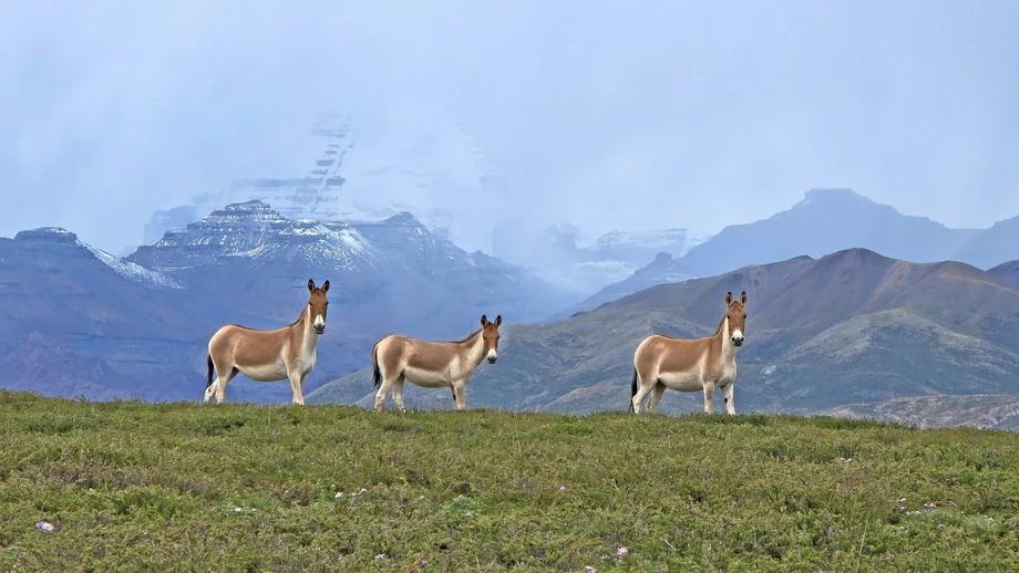 Pilgerreise zum Wohnsitz des Todes