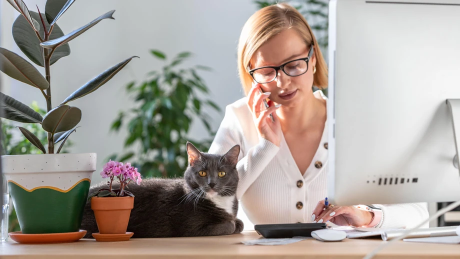 Soll ich mich auf einen Übergangsjob einlassen?