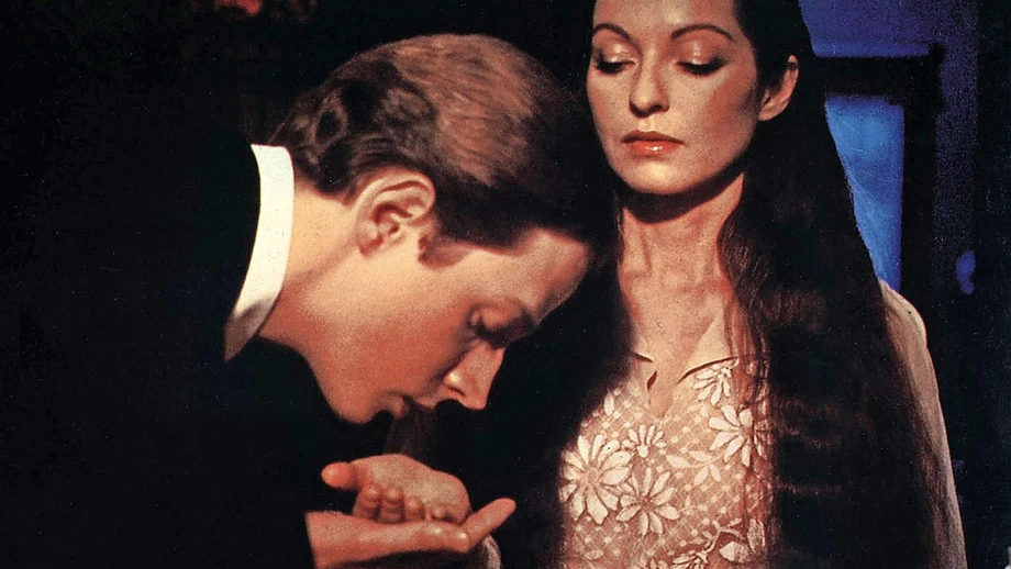 Geschlechterpolitik in der Weltliteratur