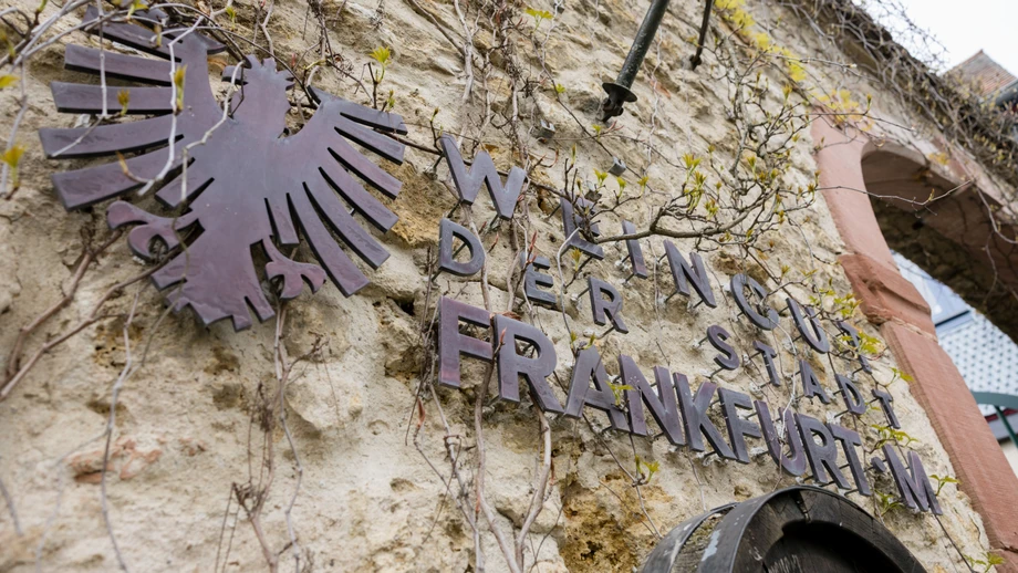 Volt lässt die Karten im Römer neu mischen