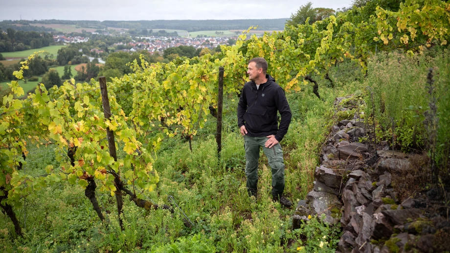 Die Wiederentdeckung einer großen Weinlandschaft