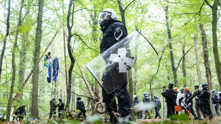 Der „Hambi“ soll jetzt Urwald werden