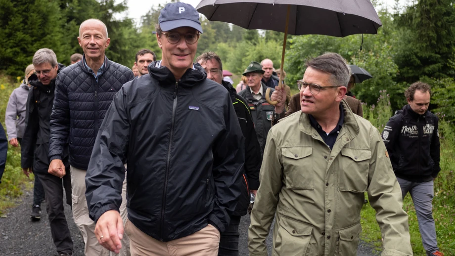 Warum Politiker öfter in den Wald gehen sollten