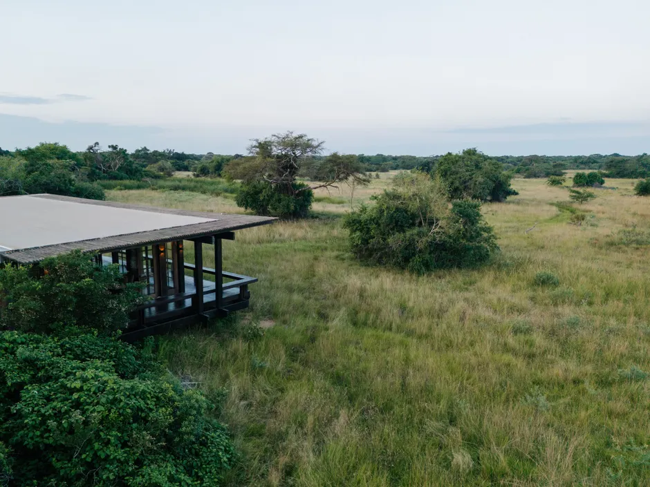 Die „Phinda Forest Lodge“ wurde behutsam in das private Wild­reservat gebaut, kein einziger Baum musste gefällt werden.