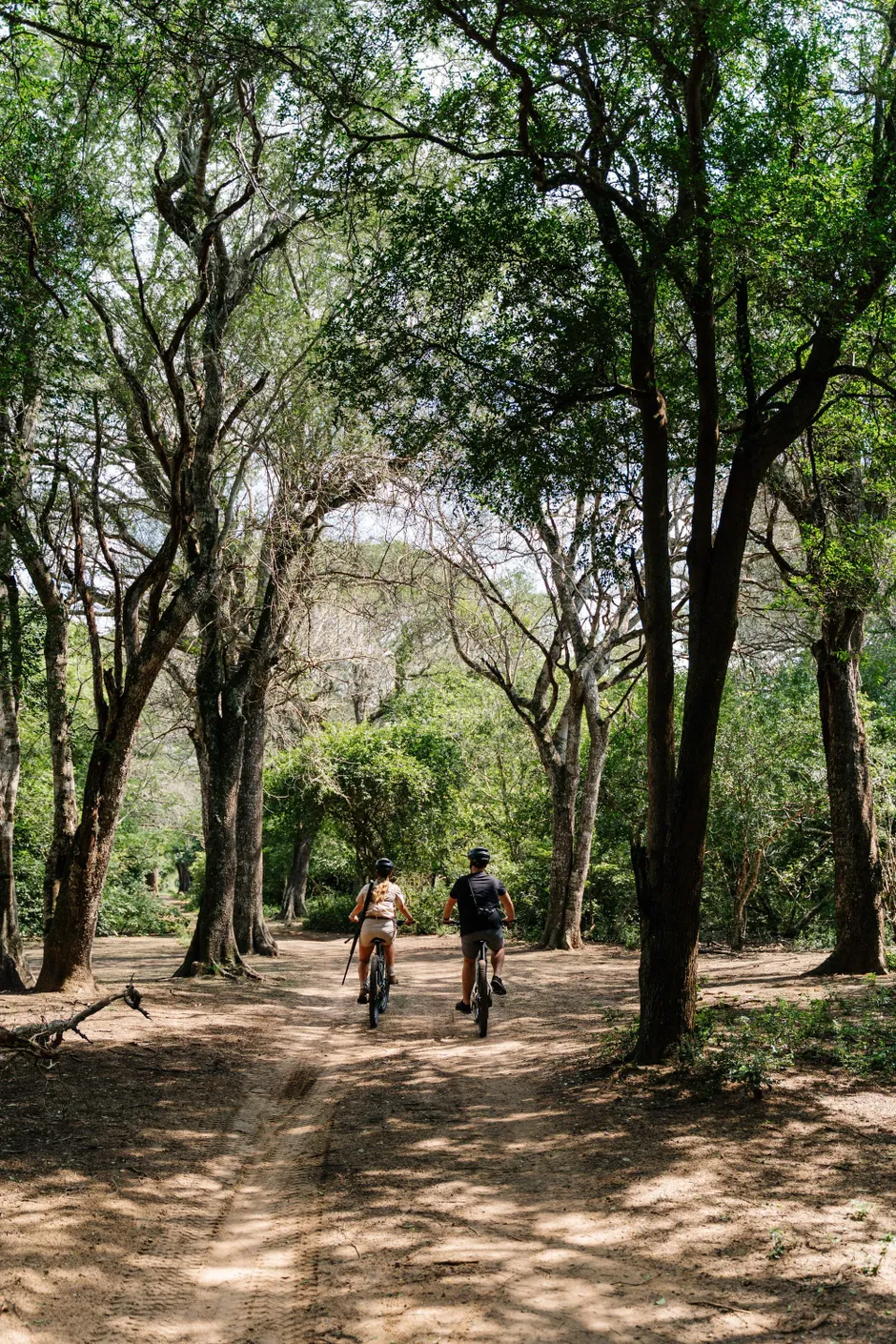 Auf E-Bike-Safari in einem der letzten Sandwälder Afrikas