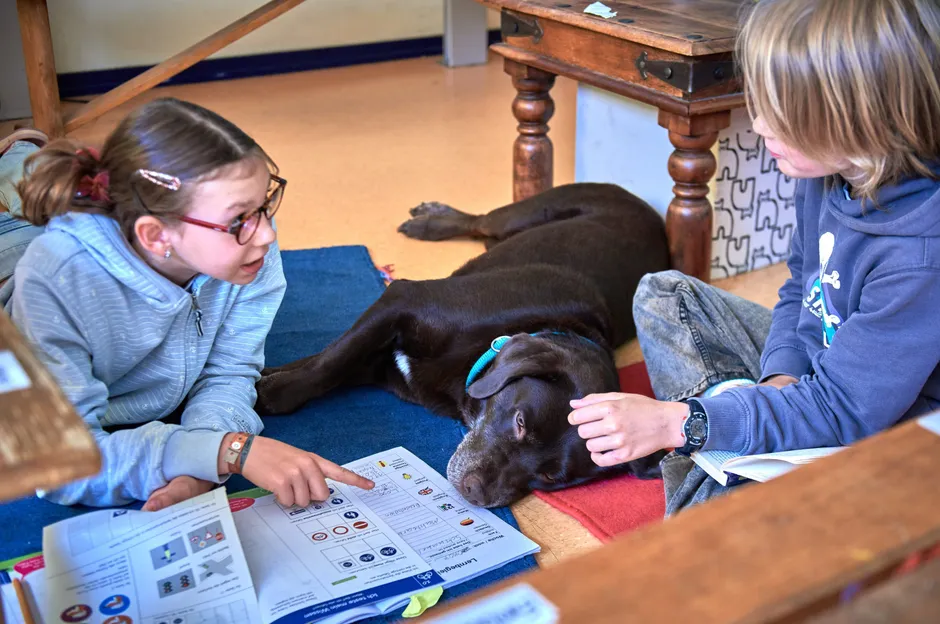 Einigen Kindern fällt es leichter, Schulhund Rudi laut vorzulesen als der ganzen Lerngruppe. Zwei Kinder haben sich während einer Lernbüro-Einheit einen Teppich geholt und arbeiten auf dem Boden.