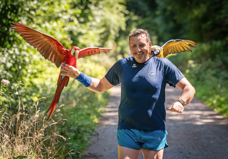 Daniel Wranik mit seinen beiden Aras Jacqueline (links) und Samantha (rechts) beim Joggen im Wald in Egelsbach.