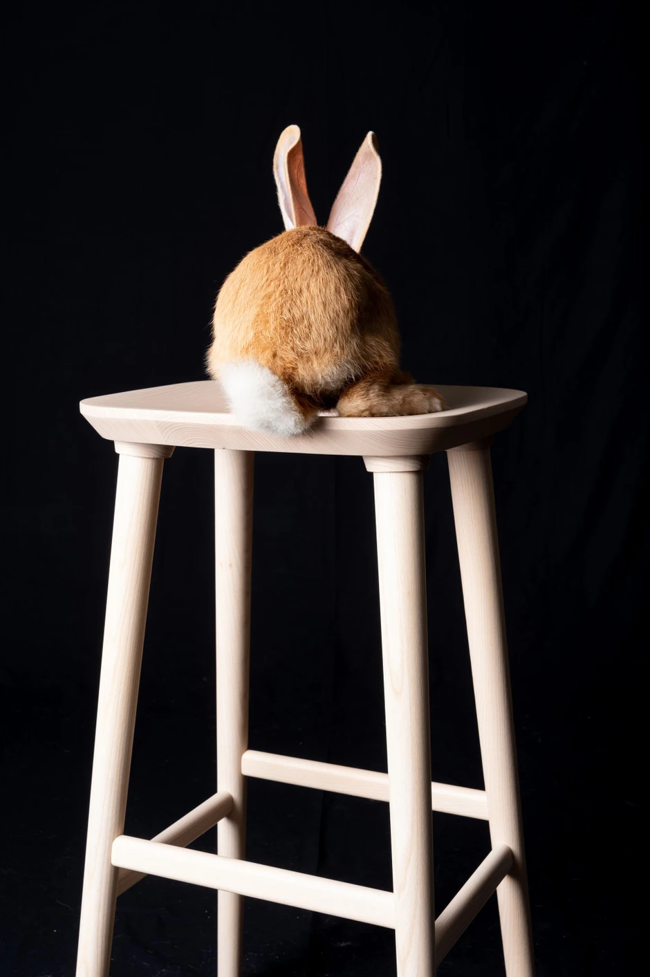 Erinnert an eine Leiter im Heustock, mit einem Eingriff zum Tragen: Auf dem Hocker VNA Bar von Florian Hauswirth (Zeitraum) zeigt Knut seine weiße Blume.