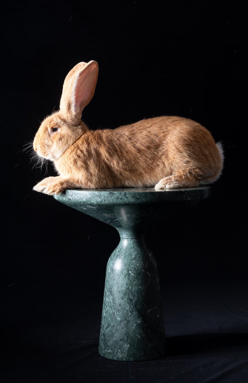 Geformt wie eine Glocke, aus mundgeblasenem Glas mit aufgesetztem Metallkörper oder (wie hier) ganz aus Naturstein: Fast zu groß ist Little Joe auch für den Tisch Bell Table von Sebastian Herkner (Classicon).
