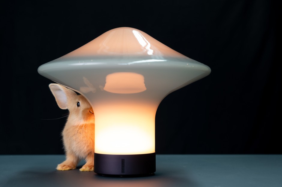 Wie ein Kreisel aus Glas, der Licht und Schatten spendet: Unter dem Schirm der Tischleuchte Trottola von Federico Peri (Brokis) hat Heidi noch Platz.