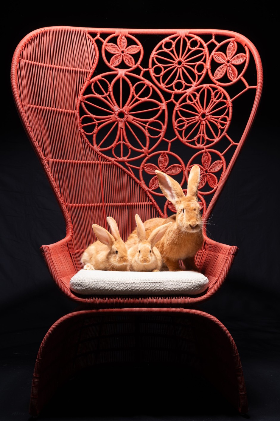 Mit floralen Ornamenten, die aus Polyethylenfasern oder Abaka (auch als Manilahanf bekannt) geflochten sind: Riesenkaninchenmama Lilli macht es sich mit ihren beiden Jüngsten, Peter und Heidi, auf dem Outdoor-Sessel Crinoline von Patricia Urquiola (B&B Italia) bequem.