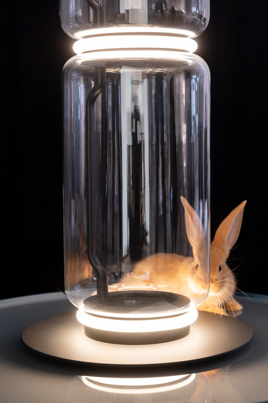 Eine leuchtende Säule, die sich aus mundgeblasenen Glasmodulen zusammenfügt: Peter lässt sich von der Standleuchte Noctambule von Konstantin Grcic (Flos) ins rechte Licht rücken.