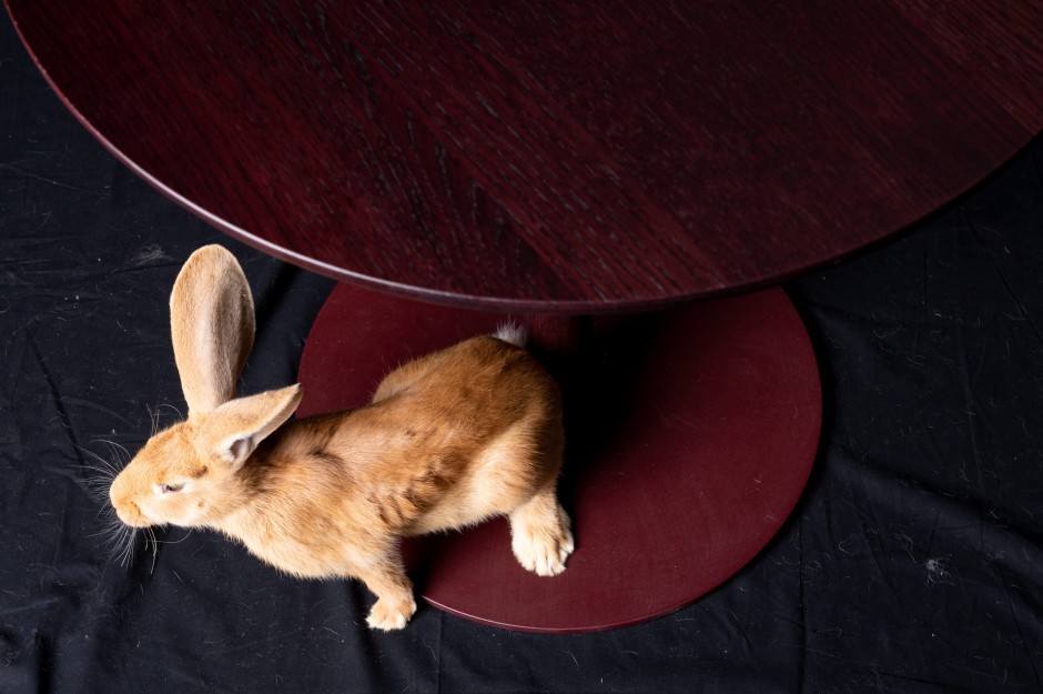 Wie eine Skulptur aus Holz, die zu einer Kaffeepause einlädt: Johanna wagt sich unter dem Bistrotisch Enso vom Arco-Design-Studio (Arco) hervor.