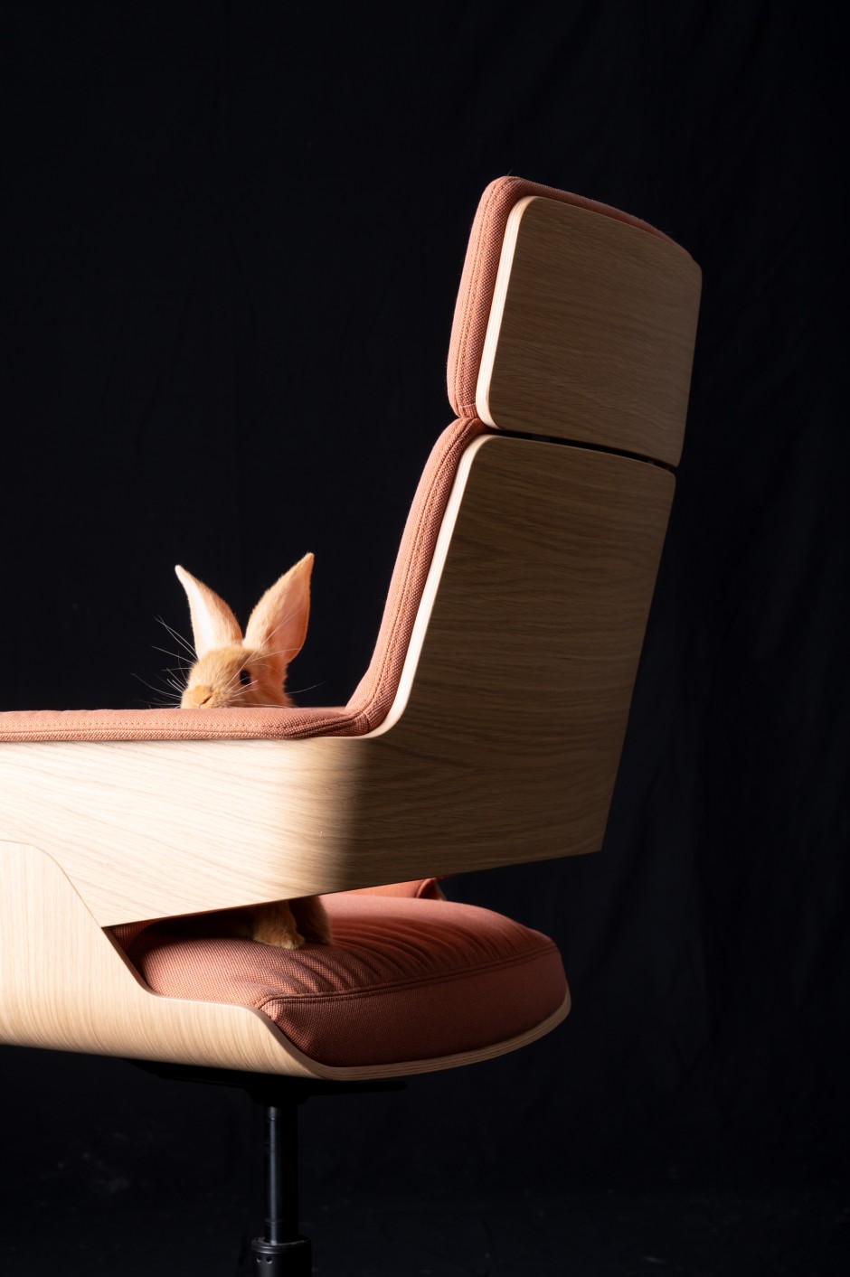 Mit einer Analogie zum Automobildesign, übertragen auf das Material Holz: Heidi erkundet den Drehsessel S 845 vom Designstudio Lepper Schmidt Sommerlade (Thonet).