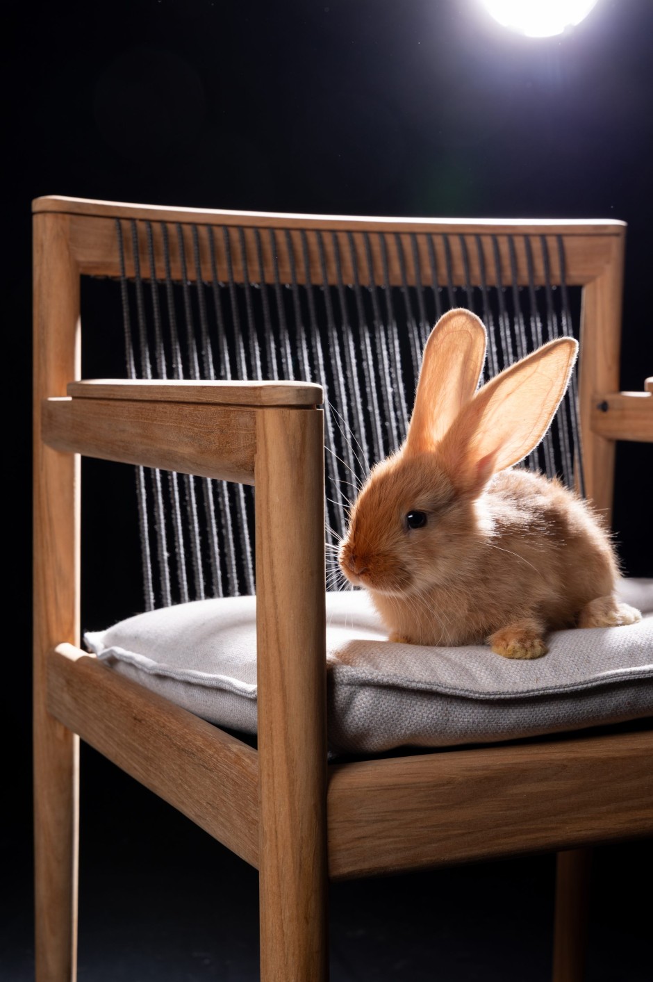 Mit einer Bespannung, die aus einem vinylbeschichteten Polyestergarn oder Acrylfasern besteht: Fast ein wenig verloren wirkt die kleine Heidi auf dem großen Armlehnstuhl Saranac von Mark Gabbertas (Gloster).