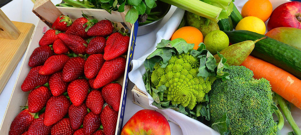 Gemüse Tiere Kindergarten