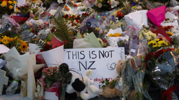 In der Blase der Provokateure