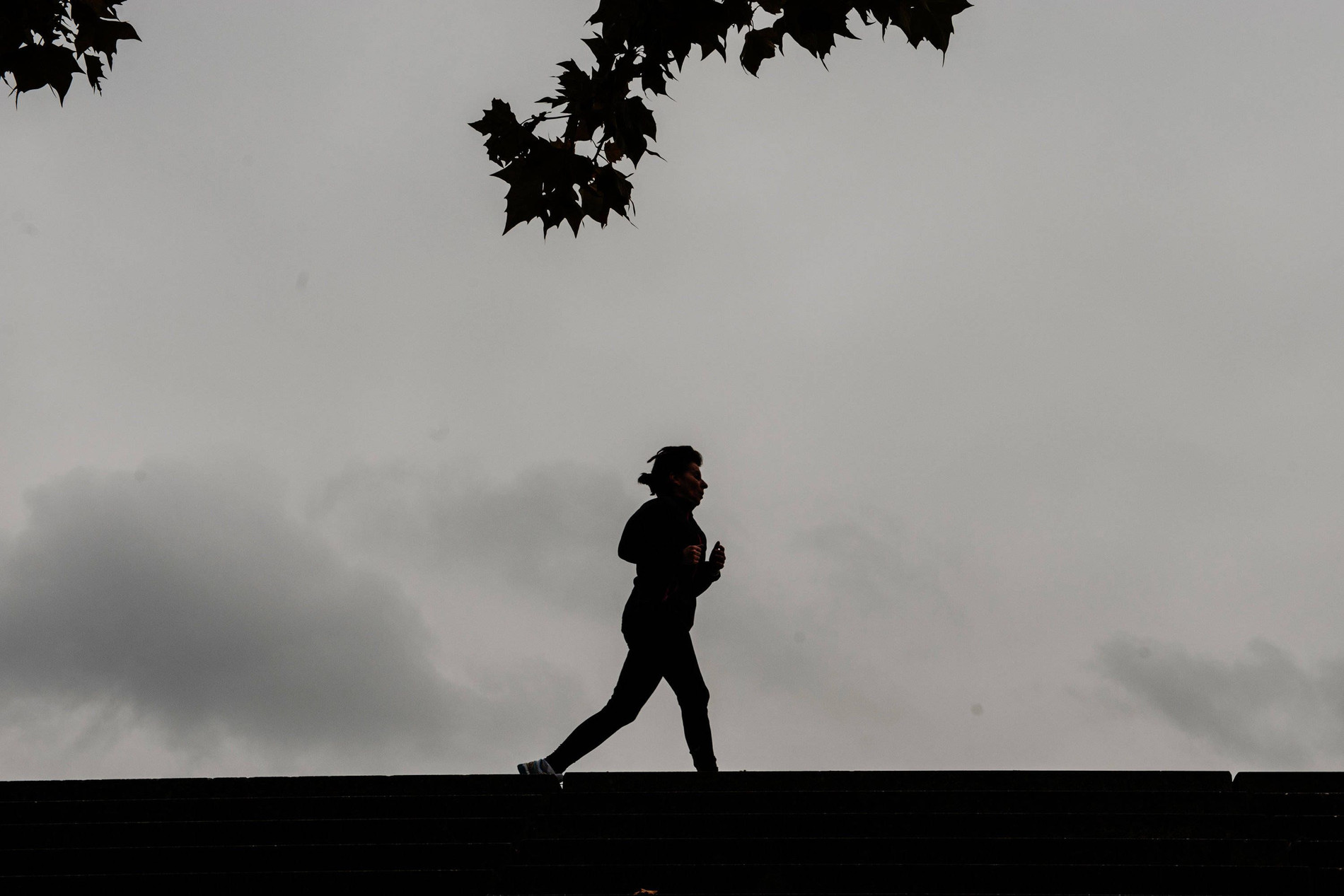 Die Wirkung Von Sport Bei Herz Und Lungenleiden