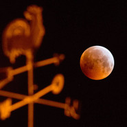 Der Mond In Der Literatur Bad Moon Rising