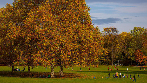 So könnte die Anbindung in den Frankfurter Norden aussehen So könnte die Anbindung in den Frankfurter Norden aussehen