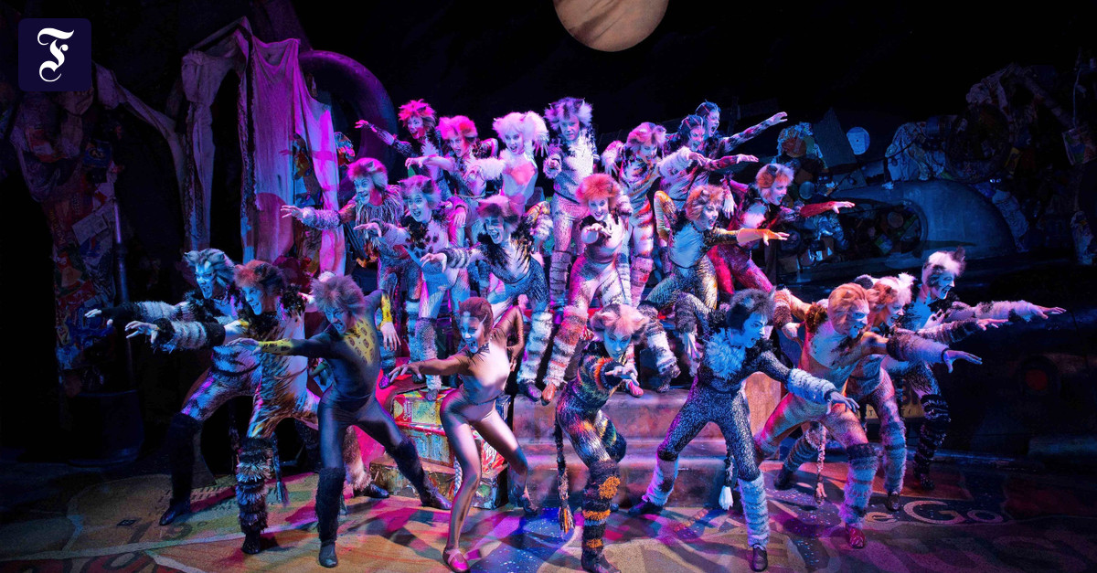 Musical „Cats“ in der Alten Oper Frankfurt
