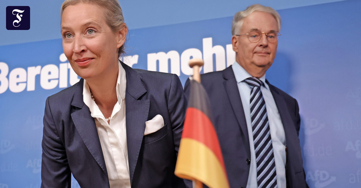 Large influx: How the “Correctiv” report helps the AfD