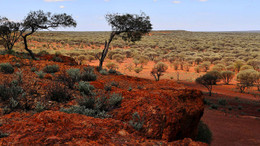 Temperaturen bis zu 40 Grad: Das australische Outback.
