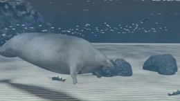 Paläontologen entdecken schwerstes Tier aller Zeiten