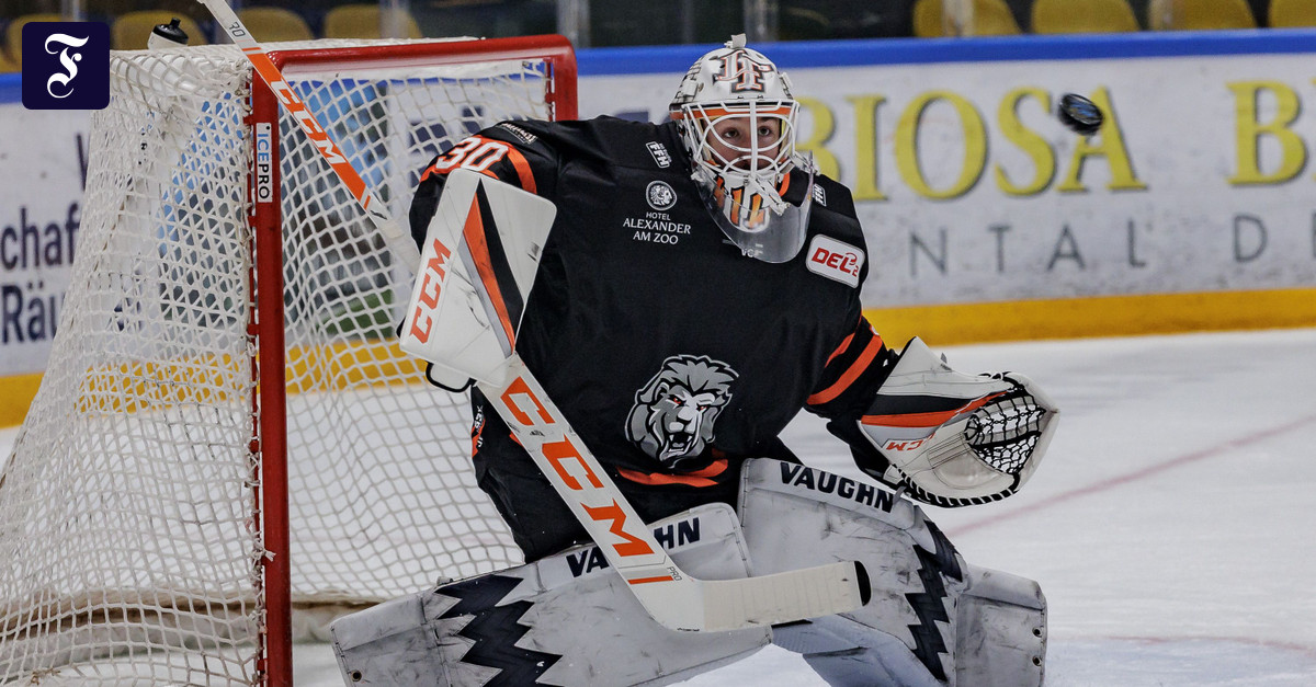 Löwen Frankfurt Was Goalie Jake Hildebrand begehrt macht