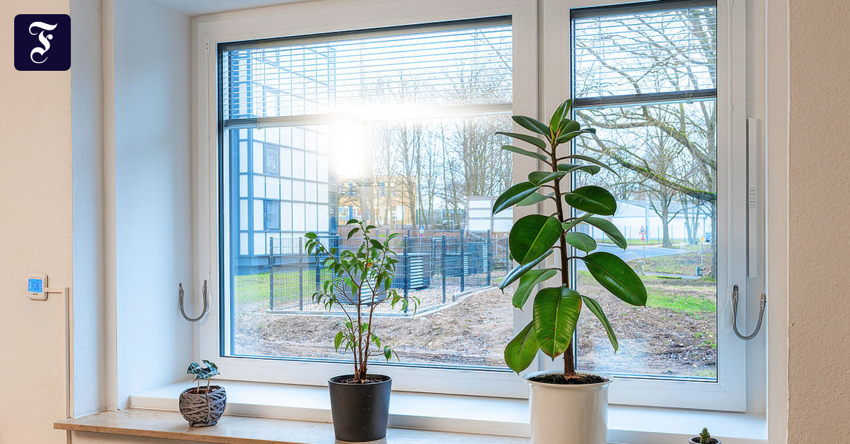 Vonovia is now focusing on serial renovations: When windows heat the ...