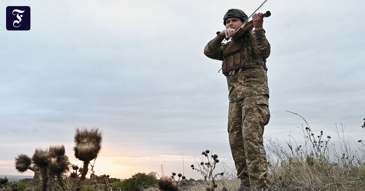 Oleksandr Mykheds Umfrage unter ukrainischen Followern