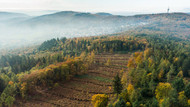 Blick auf die Fläche bei Ruppertshain, die von der F.A.Z. wieder aufgeforstet wird. In der Ferne sind Ruppertshain und der Fernmeldeturm Atzelberg zu sehen. Aufgenommen am 25. Oktober 2021 in Glashütten. Blick auf die Fläche bei Ruppertshain, die von der F.A.Z. wieder aufgeforstet wird. In der Ferne sind Ruppertshain und der Fernmeldeturm Atzelberg zu sehen. Aufgenommen am 25. Oktober 2021 in Glashütten.