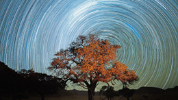 Ökologie ist nicht grün