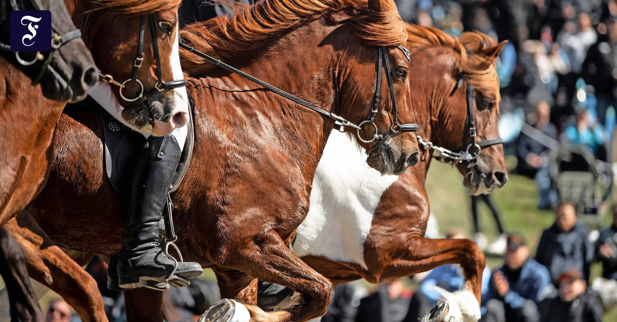 空飛ぶ馬の土地で