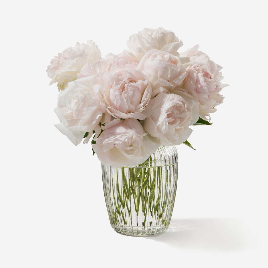 Whitney Bromberg Hawkings Versendet Blumenstrausse Uber Flowerbx